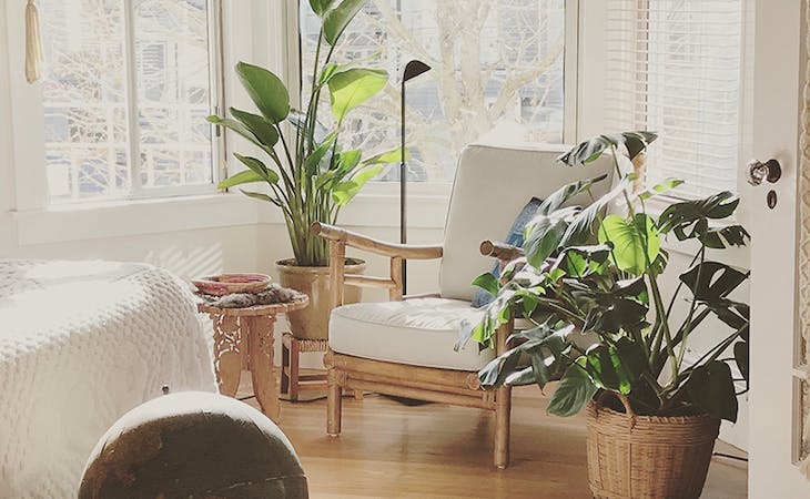 7 Bedroom Plants That Improve Your Sleep