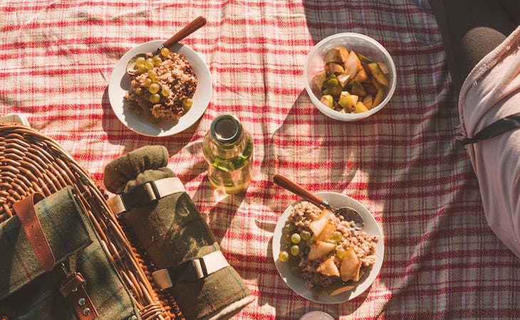 what to do with old sheets - image of sheet being used as picnic blanket