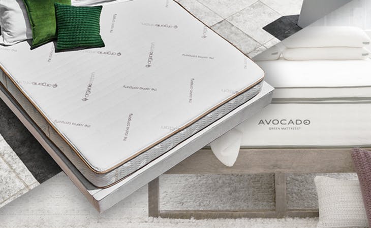 Zenhaven vs. Avocado: A Point-by-Point Comparison