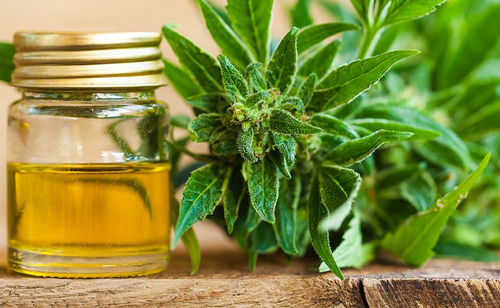 Can CBD Really Help You Sleep Better?