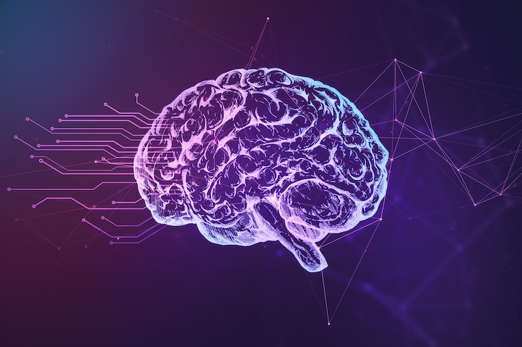 diagram of brain