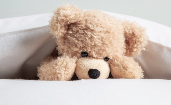image of teddy bear on bed under pillow