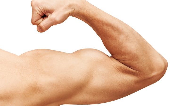 image of strong flexed muscle