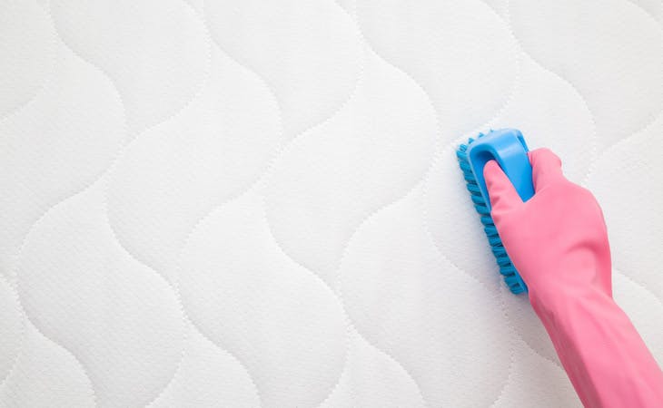 person cleaning pee out of a mattress