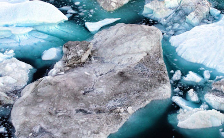 ice caps melting due to climate change and global warming