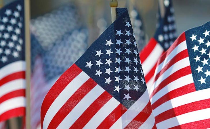american flags on display to honor active military and veterans