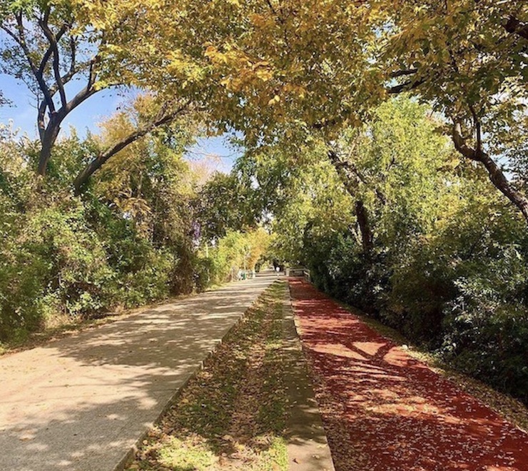 katy trail - uptown, dallas