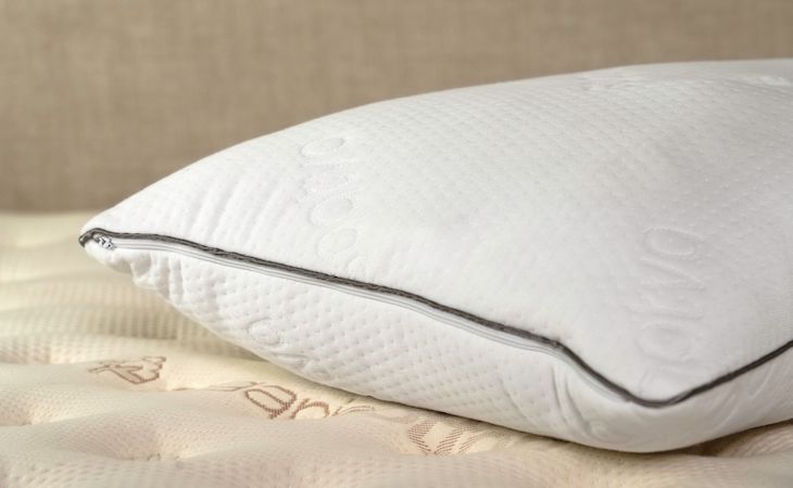 Eli & Elm Cotton Side Sleeper Pillow