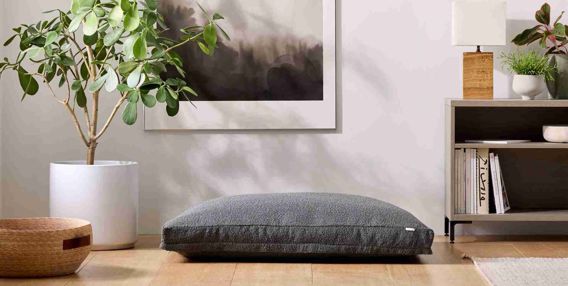 https://www.saatva.com/blog/wp-content/uploads/2023/07/saatva-dog-bed.jpg