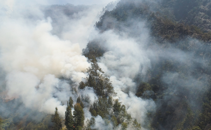 forest fire in the mountains