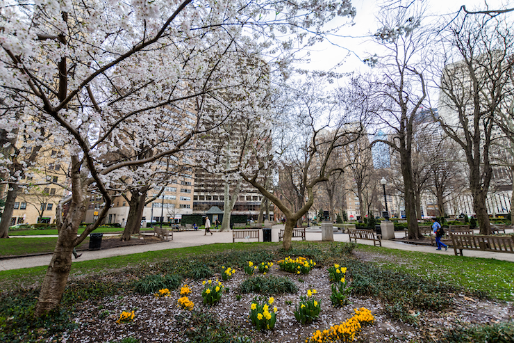 rittenhouse square, philadelphia