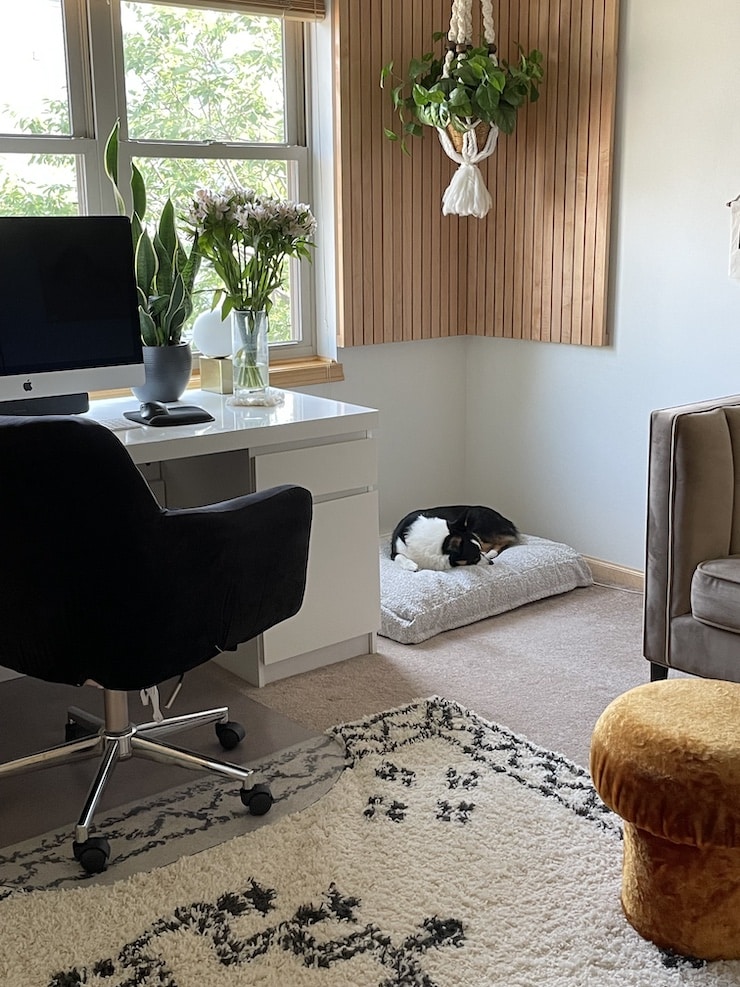 2-year-old corgi dolly sleeping on saatva dog bed