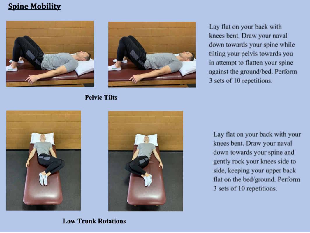 spine mobility exercises
