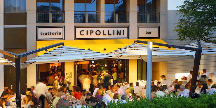 cipollini trattoria & bar - manhasset, new york