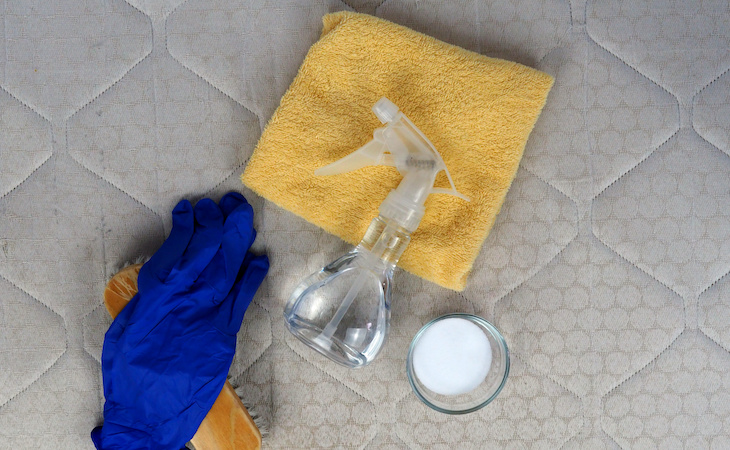 How to Clean Vomit Out of a Mattress