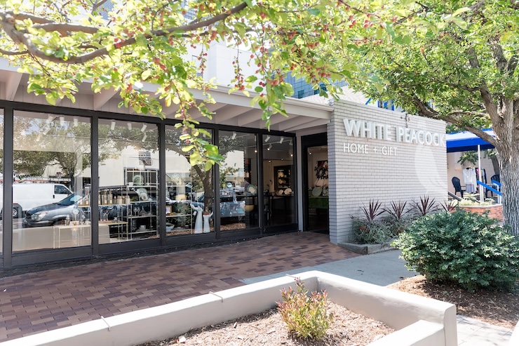 white peacock - denver