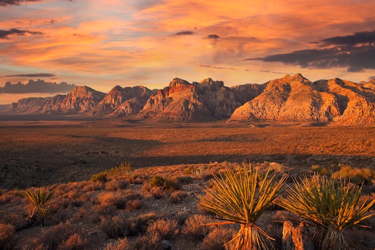Red Rock Canyon National Conservation Area - las vegas