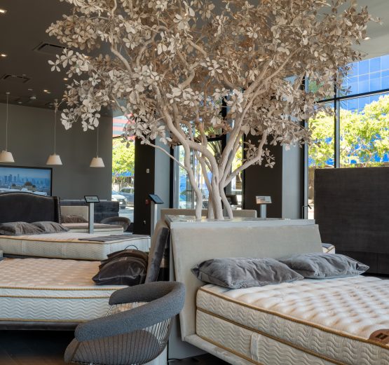 Saatva Los Angeles Tree Left Side of Viewing Room scaled