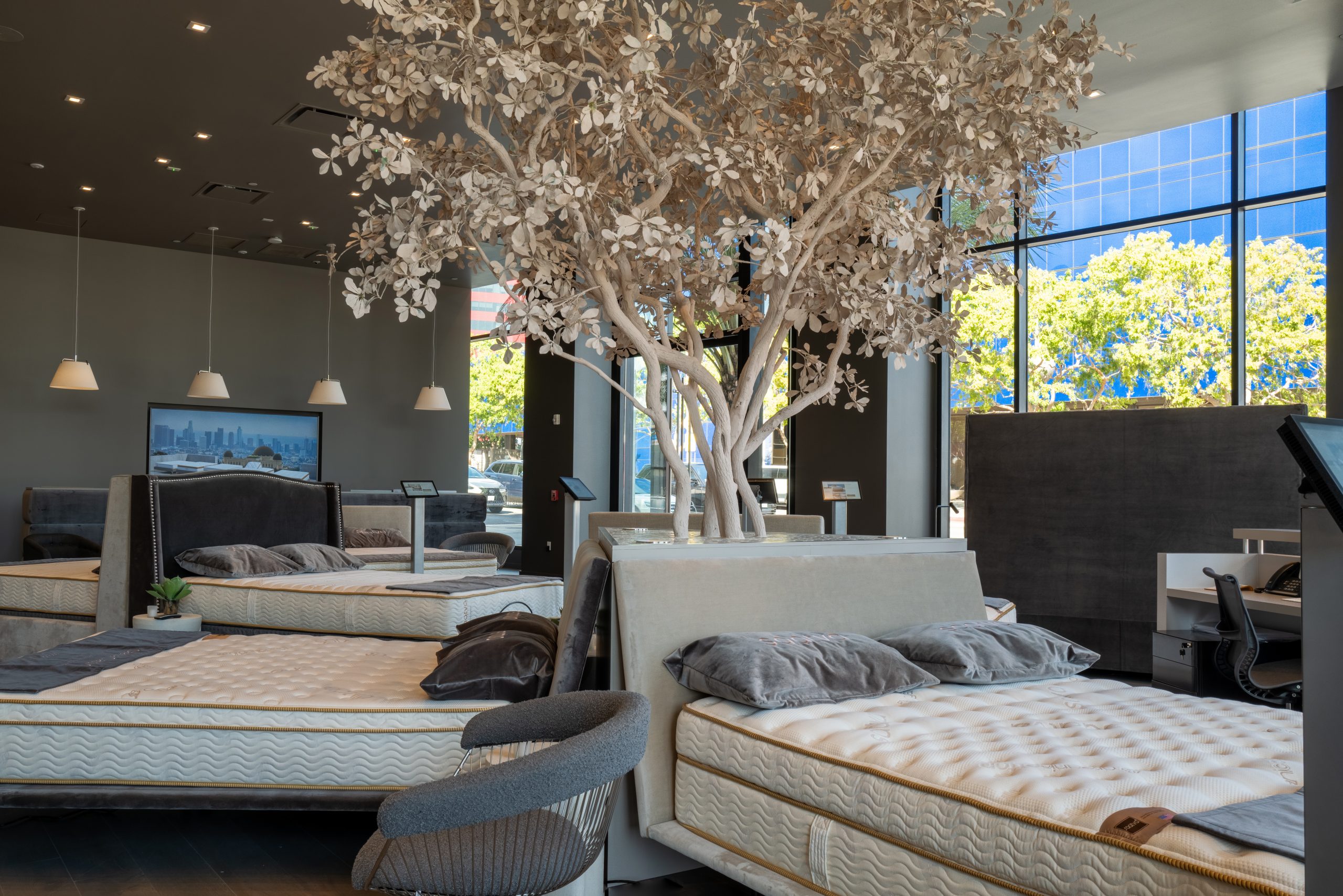 Saatva Los Angeles Tree Left Side of Viewing Room scaled