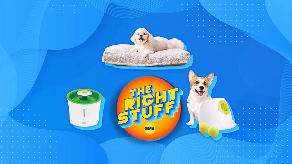 GMA TheRightStuff Pets v04 dnl 1718214777377 hpMain 16x9