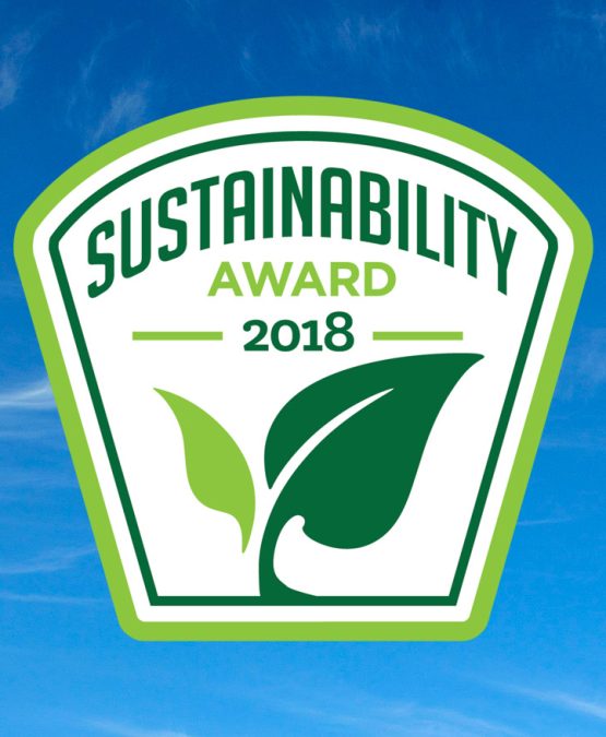 BIG Sustainability Award 2018