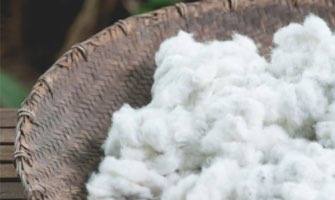 Cotton used at Saatva